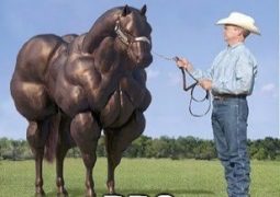 Why the Natty-or-Not Debate Is Stupid