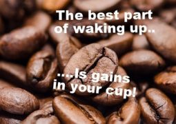 Pre Workouts For Broke People Who DGAF