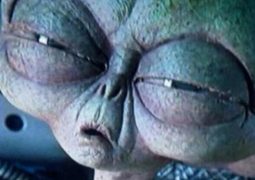 Gym Motivation: Learn How to Force Yourself to Go Workout