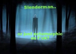 Under Utilized Winter Strength Training for Ectomorphs