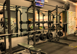 The Exercises & Tools Needed To Build Anaconda Arms