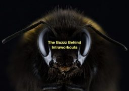 Importance of Intraworkouts: Don’t Forget To Fuel Your Gains!