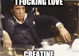 What To Look For When Shopping For a Creatine Supplement