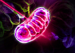 5 Best Laser Helmets for Supporting Long-Term Hair Re-growth