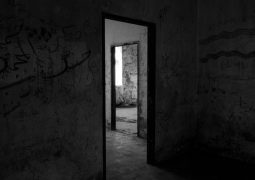 Best Doorway Pull Up Bars That Don’t Require Drilling