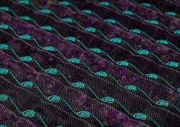 HigherDOSE Infrared Sauna Review: Legit or Not?