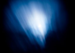 Top 5 Supplements for Recovery and Sleep