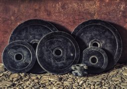 Different Types of Weight Plates Explained: Weight Plates Buying Guide