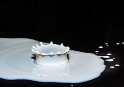 The Best Lactose Free Protein Powders on the Market